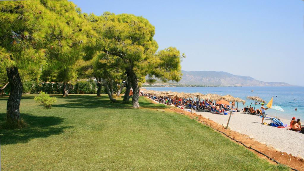 Siagas Beach Hotel Agioi Theodoroi Ngoại thất bức ảnh