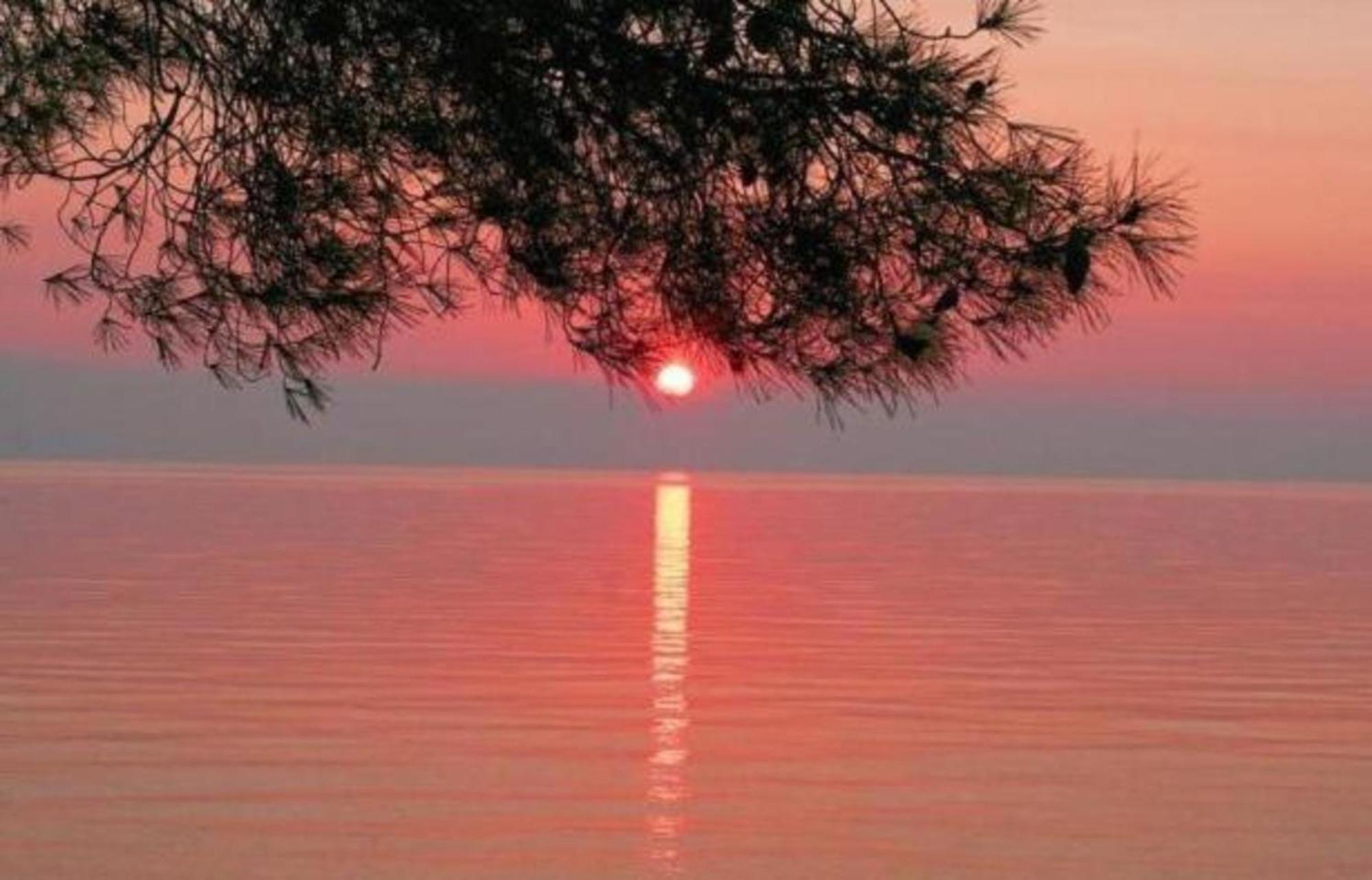 Siagas Beach Hotel Agioi Theodoroi Ngoại thất bức ảnh