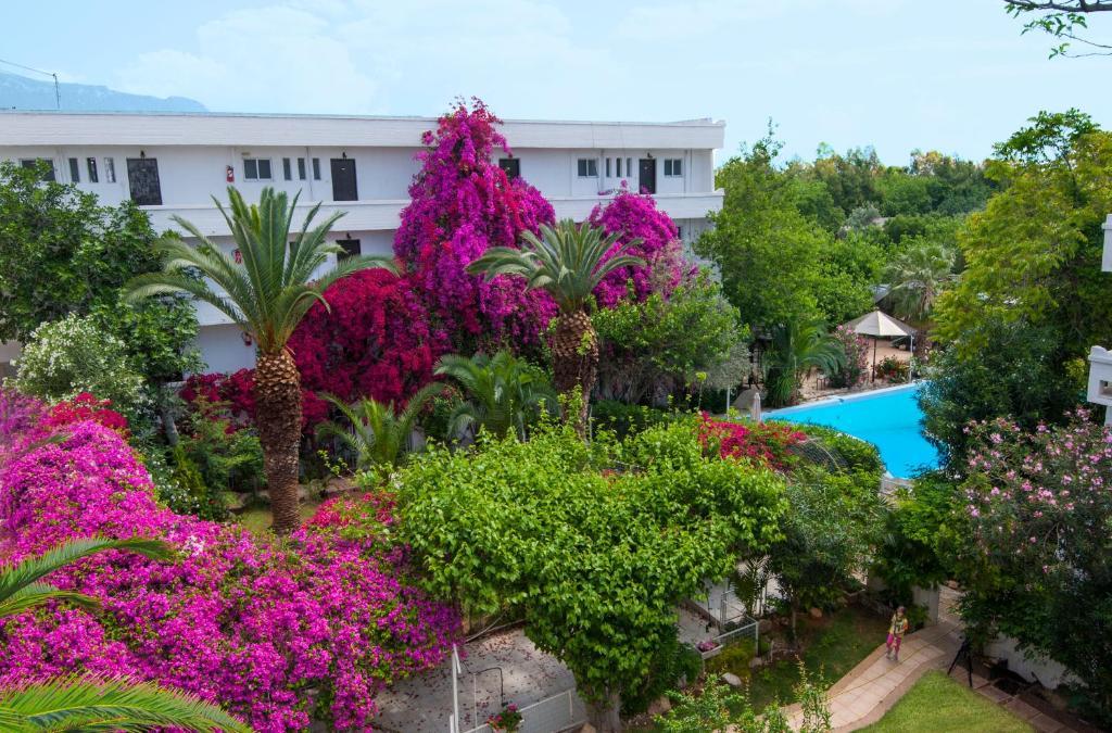 Siagas Beach Hotel Agioi Theodoroi Ngoại thất bức ảnh